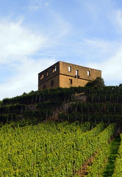 YBurg Stetten im Remstal