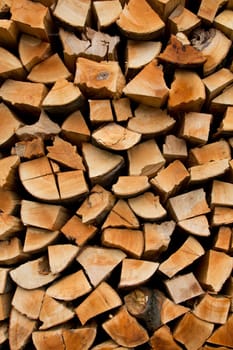 Wood pile