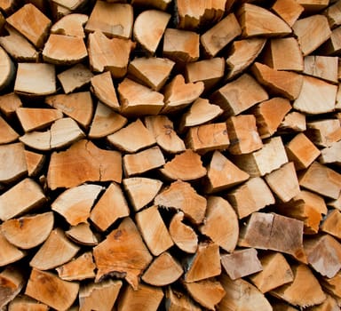 Firewood