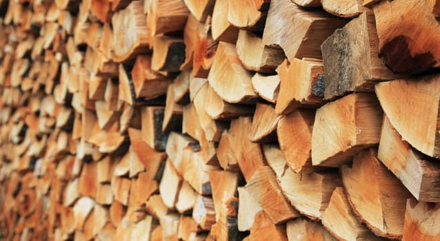 Wood pile