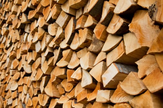 Firewood
