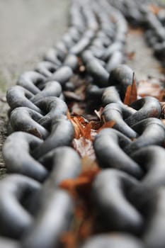Chain cable
