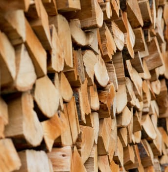 Firewood