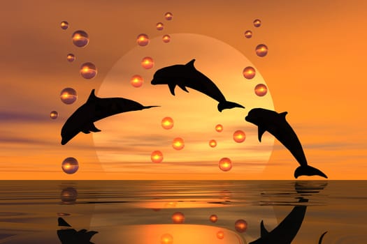three dolphins