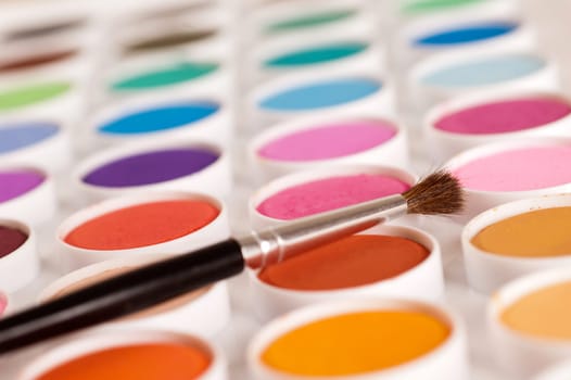 Watercolor Paints
