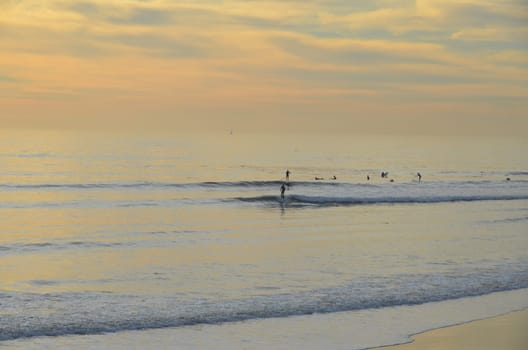 stand up paddling surfer in the sunset