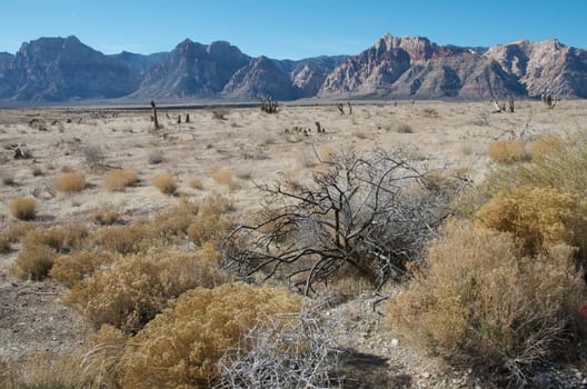 A typical arid Arizona landscape with mountains and prairie