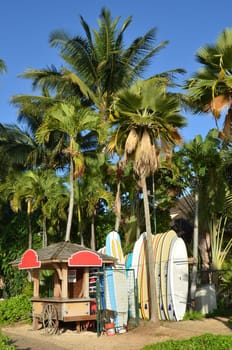 kiosk and some longboard for rent in beautiful scenery