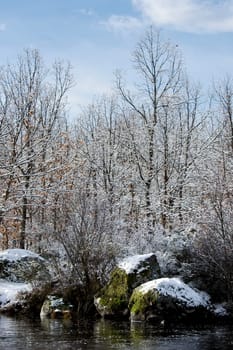 Snow covered naked trees nearby small river