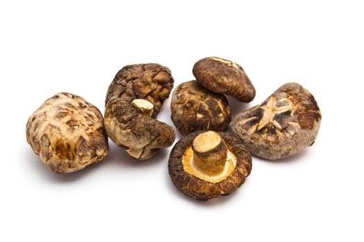 Dried mushrooms closeup on white background