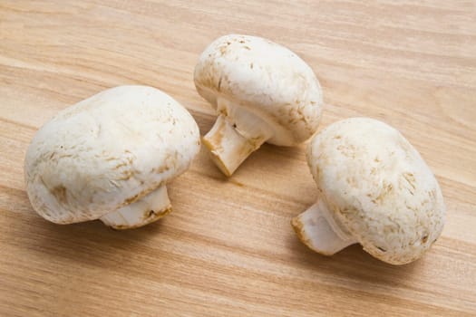 Fresh mushroom closeup on wood background
