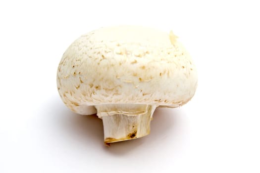 Fresh mushroom closeup on white background