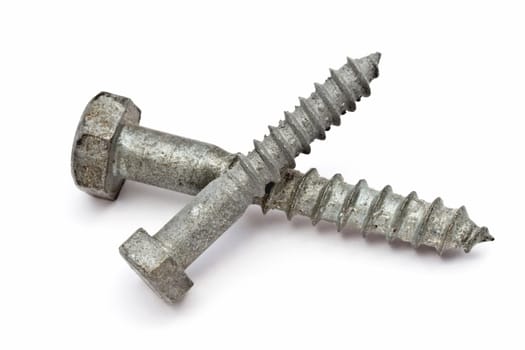 Two screws isolated on white background