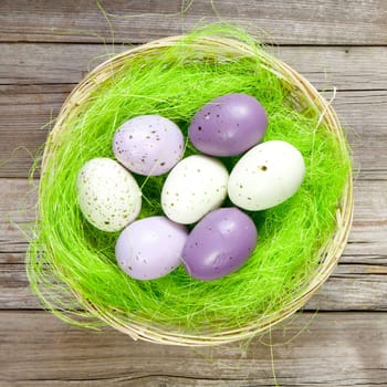 easter nest with easter eggs on wooden background