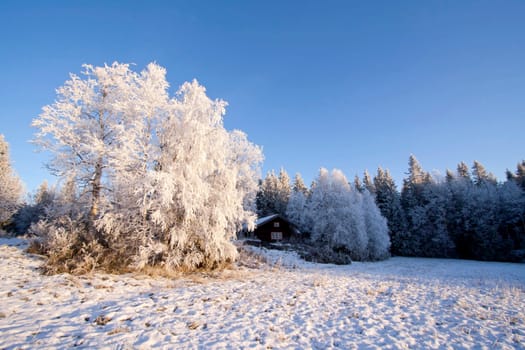 Beautiful winter landscape in Sweden