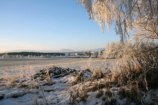 Beautiful winter landscape of Sweden