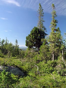 Beautiful mountain landscape with blue sky