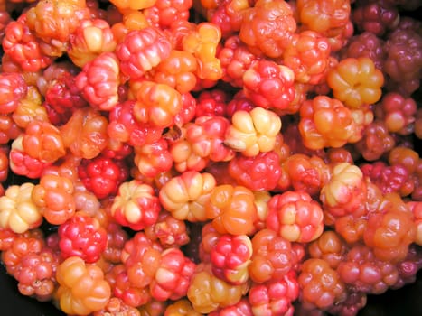Fresh cloudberry background closeup