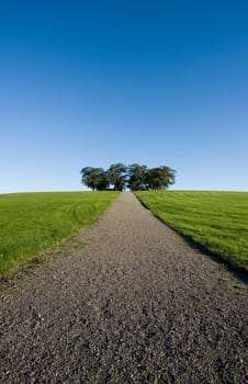 Panoramic scene of a Dirt Road alley
