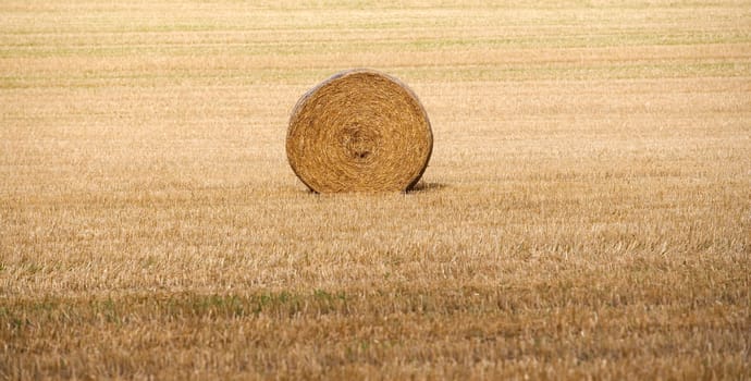 Hay stack on a filed