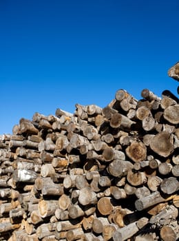 Stack of timber towards blue sky