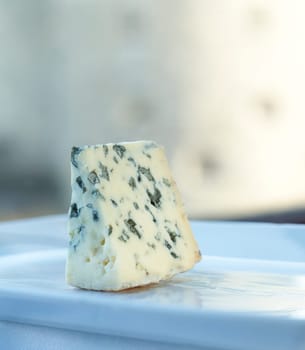 Still Life of Blue Cheese
