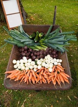 Worn Barrow with a large group of Vegetables