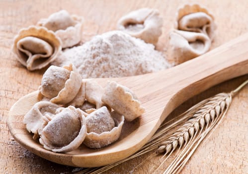 Fresh raw capeletti with flour close up shoot