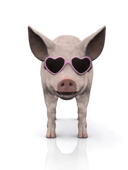 A cool smiling piglet wearing pink heart shaped sunglasses. White background.