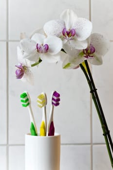Colored toothbrushes and orchids in bright bathroom