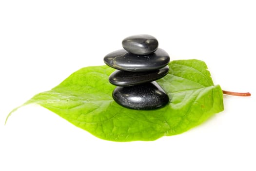 black stones on the leaf. isolated over white.