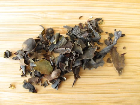 Tang,Fucus