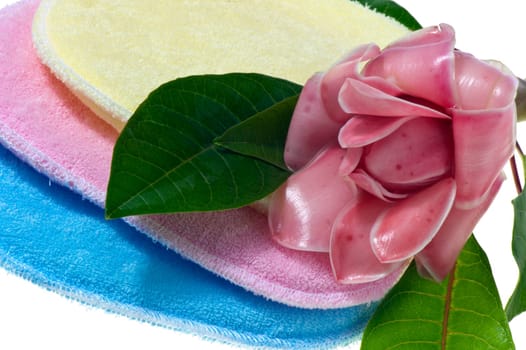 bath sponges in three different colors on white background