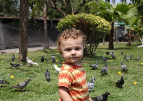 Boy with pigeons in the park