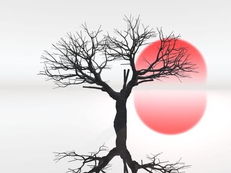 the tree and the sun