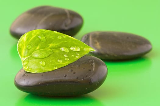 zen stones with leaf on green background