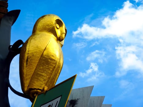 Owl