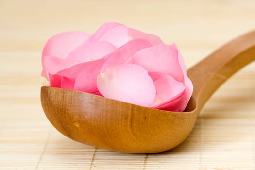 petals of roses