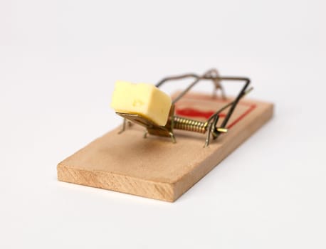 Mouse Trap with cheese on white background