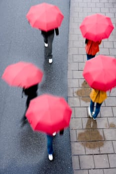 Group of People with Red umbrellas