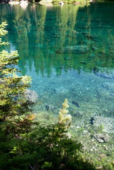 reflections on Carezza Lake  in Trentino Alto Adige in Italy