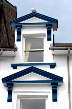 seagull on the roof to Penzance in Cornwall
