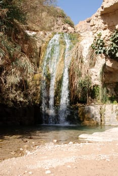 A Gedi-Nachal David