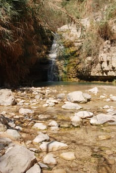 A Gedi-Nachal David