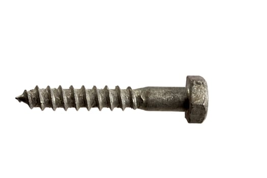 Bolt isolated on white