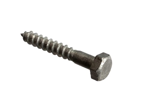 Bolt isolated on white
