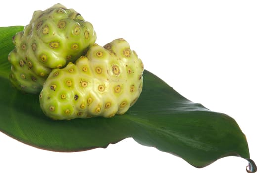 two noni fruit on white background