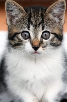 A curious look