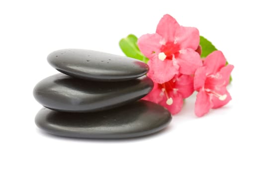 massage stones and red flowers