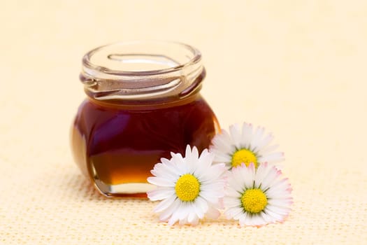 honey and daisies